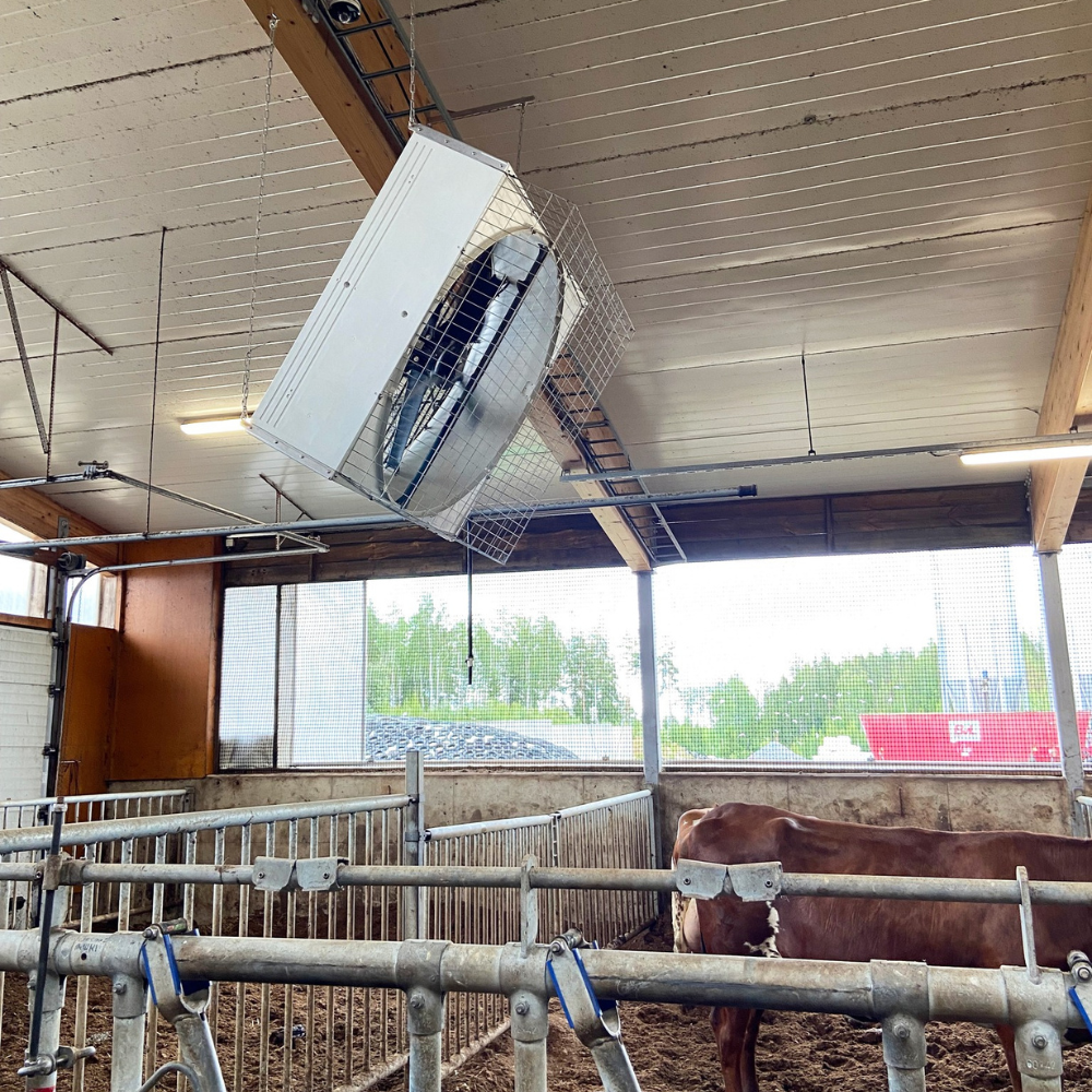 Ventilators BF 50 SuperFlow